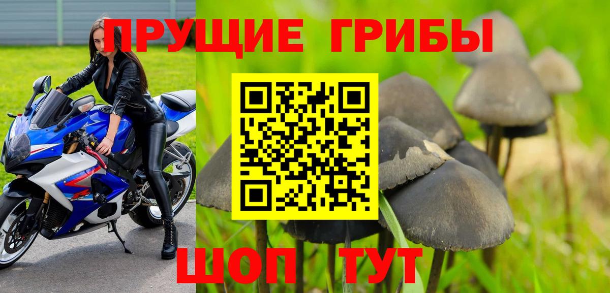 Бошки Шишки  Урюпинск  Вход с VPN  МЕФ кристаллы  ЭКСТАЗИ  КОКАИН  Гашиш  Alpha-PVP СОЛЬ кристаллы 